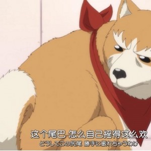 日本动漫《数码宝贝大冒险》高清中字全集推荐
