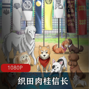 日本动漫《织田肉桂信长》高清中字版珍藏推荐