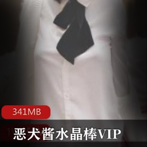 某推旗袍（恶犬酱）水晶棒VIP